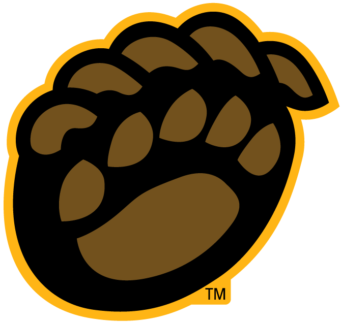Baylor Bears 2005-Pres Alternate Logo v8 iron on transfers for fabric